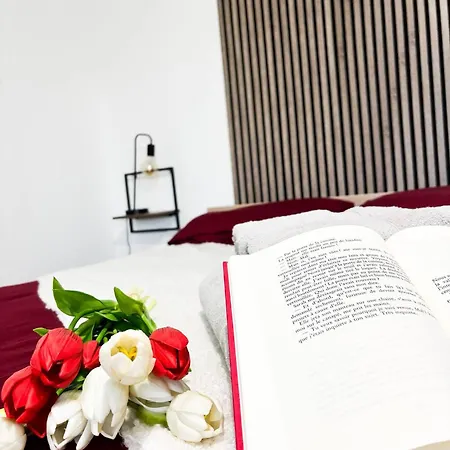 Apartamento Le London, Proche Aeroport Saint-Louis (Haut-Rhin)